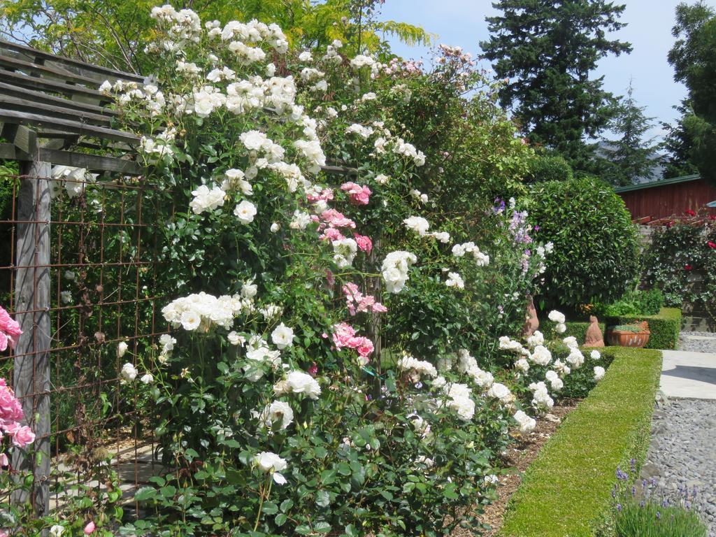 Marchmont Gardens Bed & Breakfast Ханмер Спрингс Екстериор снимка