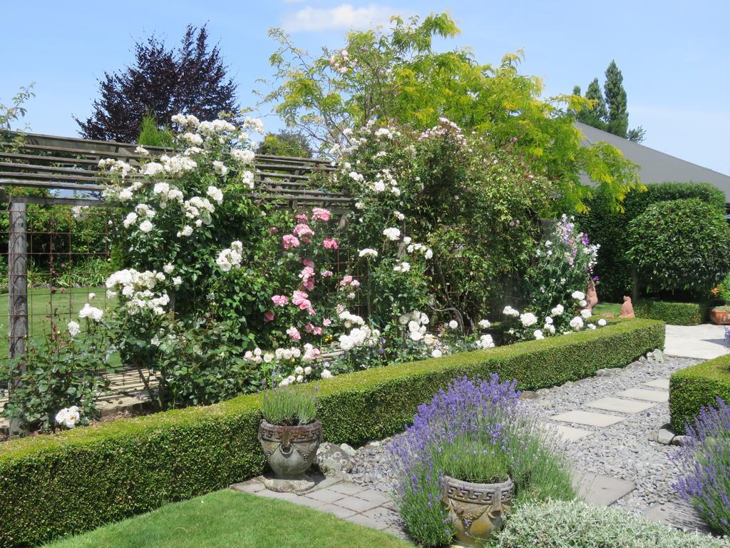 Marchmont Gardens Bed & Breakfast Ханмер Спрингс Екстериор снимка
