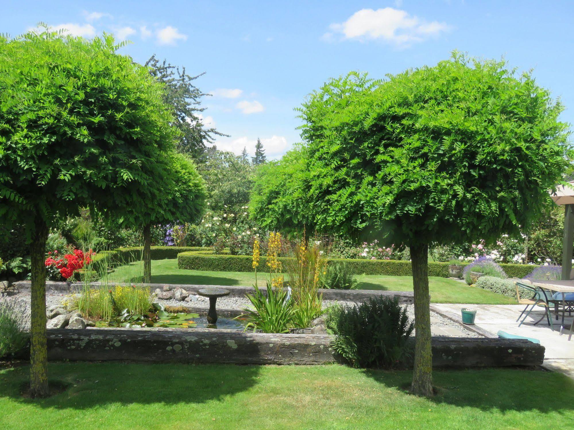 Marchmont Gardens Bed & Breakfast Ханмер Спрингс Екстериор снимка