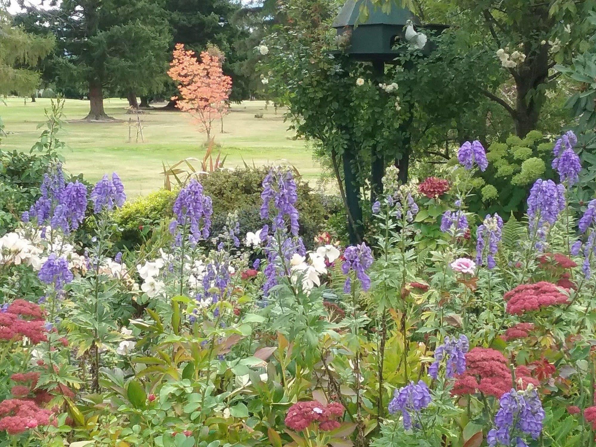Marchmont Gardens Bed & Breakfast Ханмер Спрингс Екстериор снимка