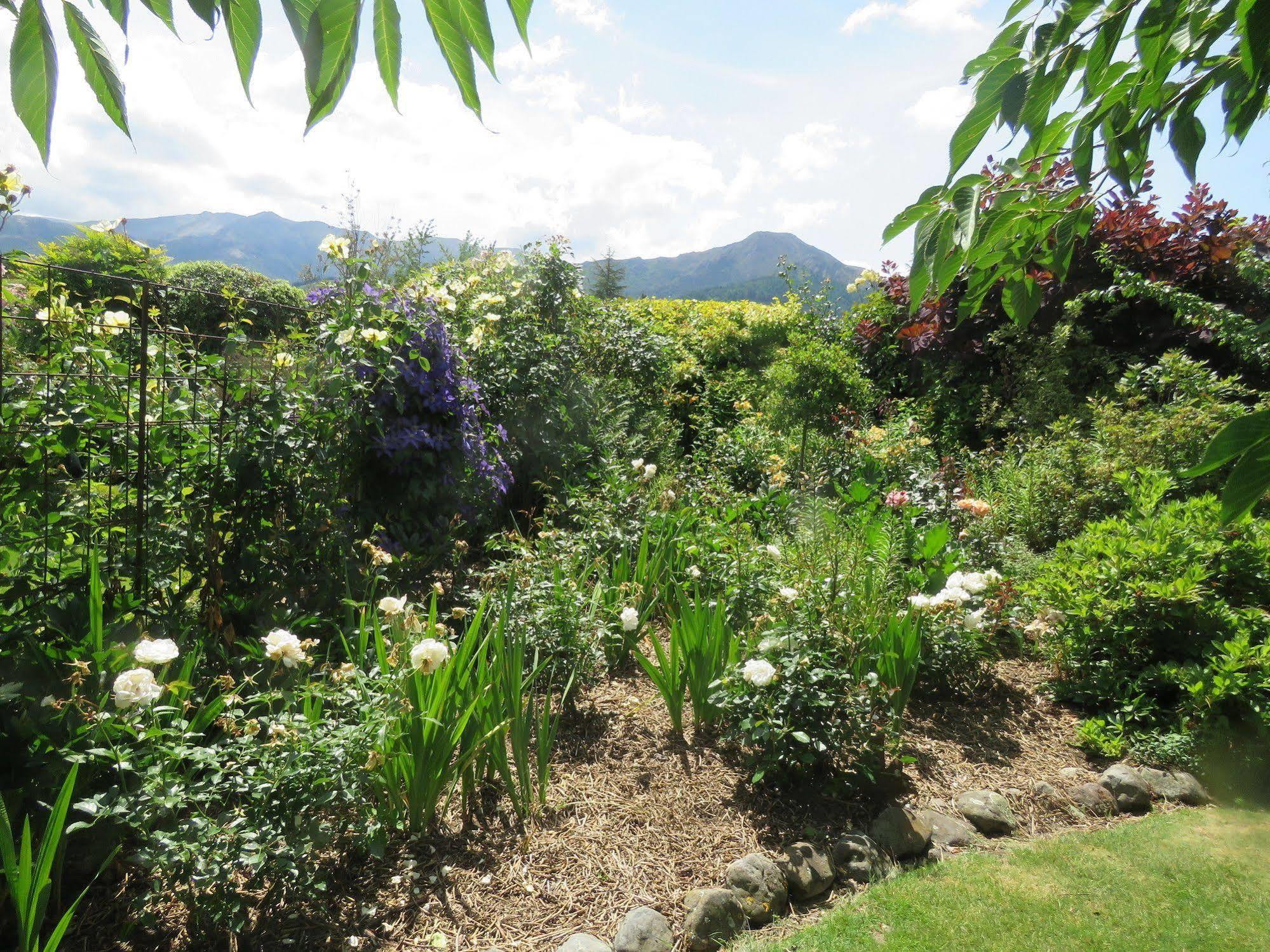Marchmont Gardens Bed & Breakfast Ханмер Спрингс Екстериор снимка
